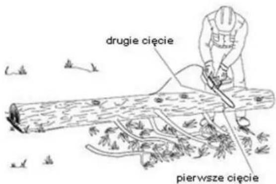drugie cięcie pierwsze cięcie