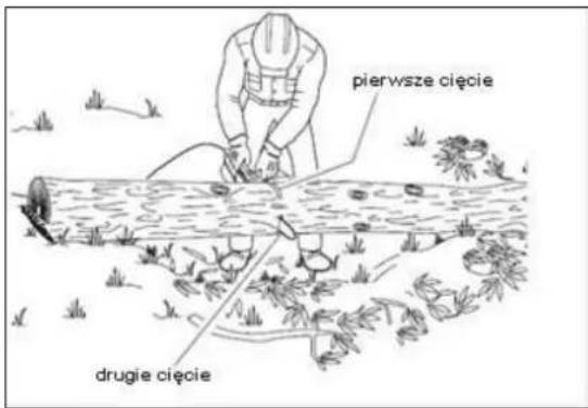 pierwsze cięcie drugie cięcie