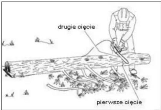 drugie cięcie pierwsze cięcie