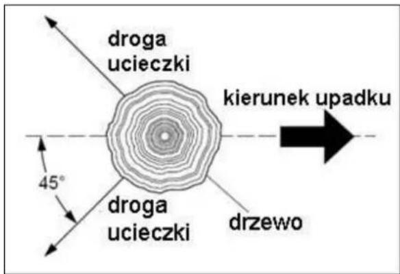 droga ucieczki kierunek upadku 45° droga ucieczki drzewo