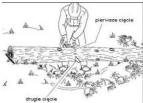 pierwsze cięcie drugie cięcie