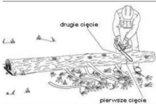 drugie cięcie pierwsze cięcie
