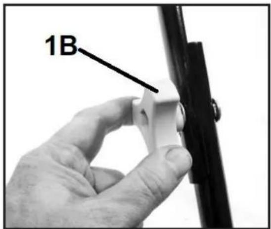 1B
