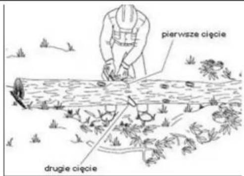 pierwsze cięcie drugie cięcie