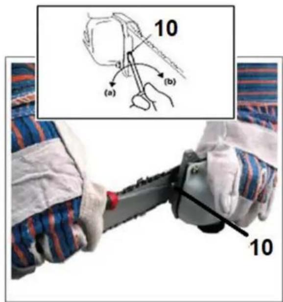 10 (a) (b) 10