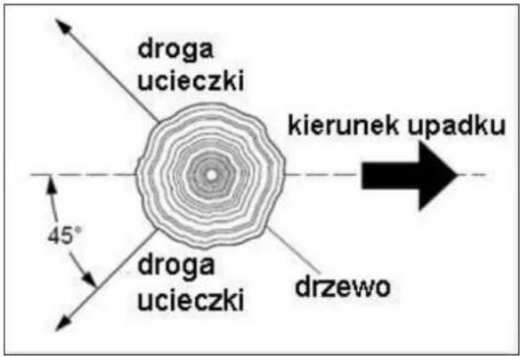 droga ucieczki kierunek upadku 45° droga ucieczki drzewo