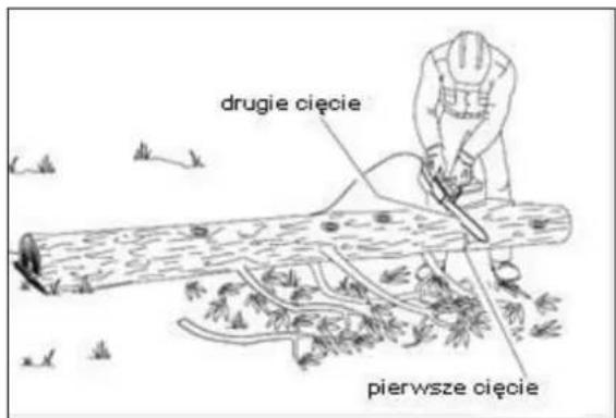 drugie cięcie pierwsze cięcie