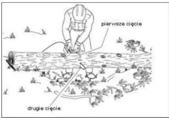 pierwsze cięcie drugie cięcie