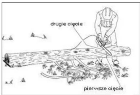 drugie cięcie pierwsze cięcie