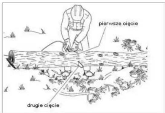pierwsze cięcie drugie cięcie