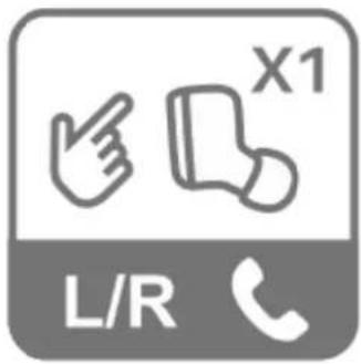 L/R X1