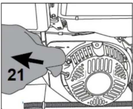 21