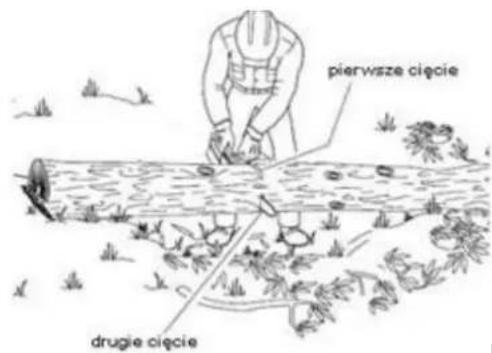 pierwsze cięcie drugie cięcie