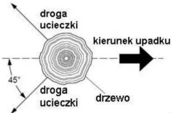 droga ucieczki kierunek upadku 45° droga ucieczki drzewo