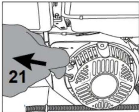 21