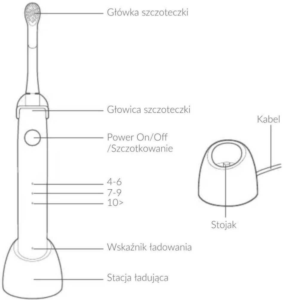 Główka szczoteczki Głowica szczoteczki Power On/Off /Szczotkowanie 4-6 7-9 10> Wskaznik ładowania Stacja ładująca Kabel Stojak
