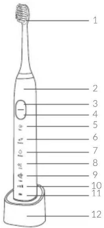 1 2 3 4 5 6 7 8 9 10 11 12