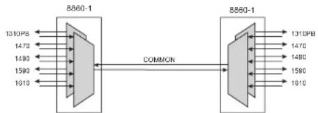 Omnitron Systems CWDM/X - Pass Band Port - 1