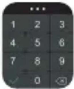 Kieslect KS Pro - Instrukcja obsługi - 27