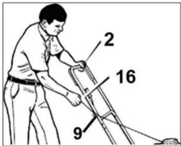 2 16 9