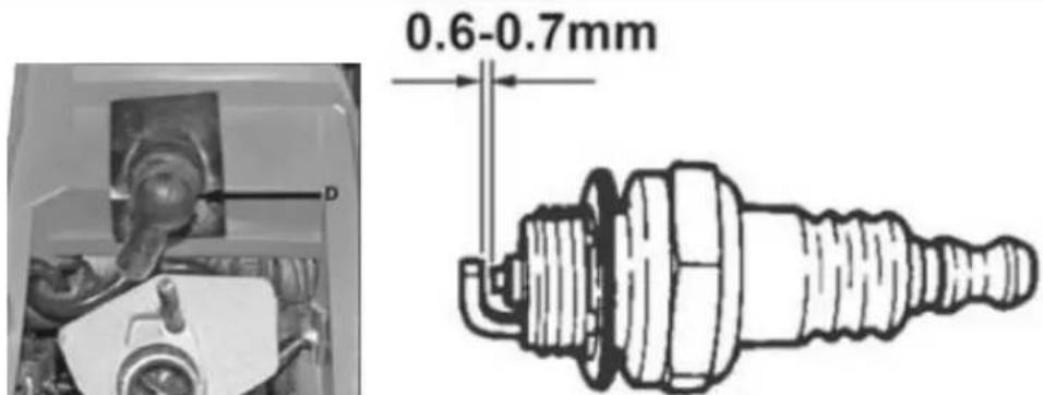 Faworyt Pro SP24 - Świeca zapłonowa - 2