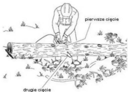 pierwsze cięcie drugie cięcie