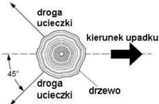droga ucieczki kierunek upadku 45° droga ucieczki drzewo