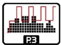P3
