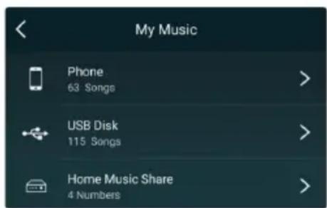 My Music Phone 63 Songs USB Disk 115 Songs Home Music Share 4 Numbers