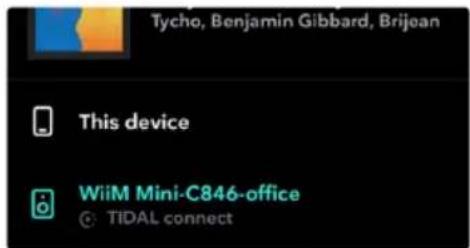 Arylic WIIM MINI - Tidal Connect - 1