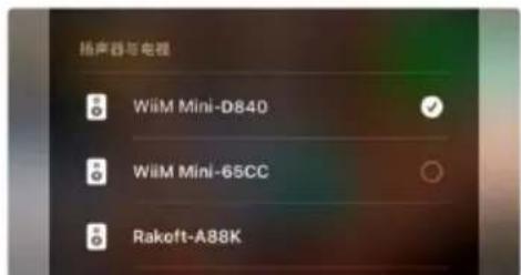 扬声器与电视 WiiM Mini-D840 WiiM Mini-65CC Rakoft-A88K