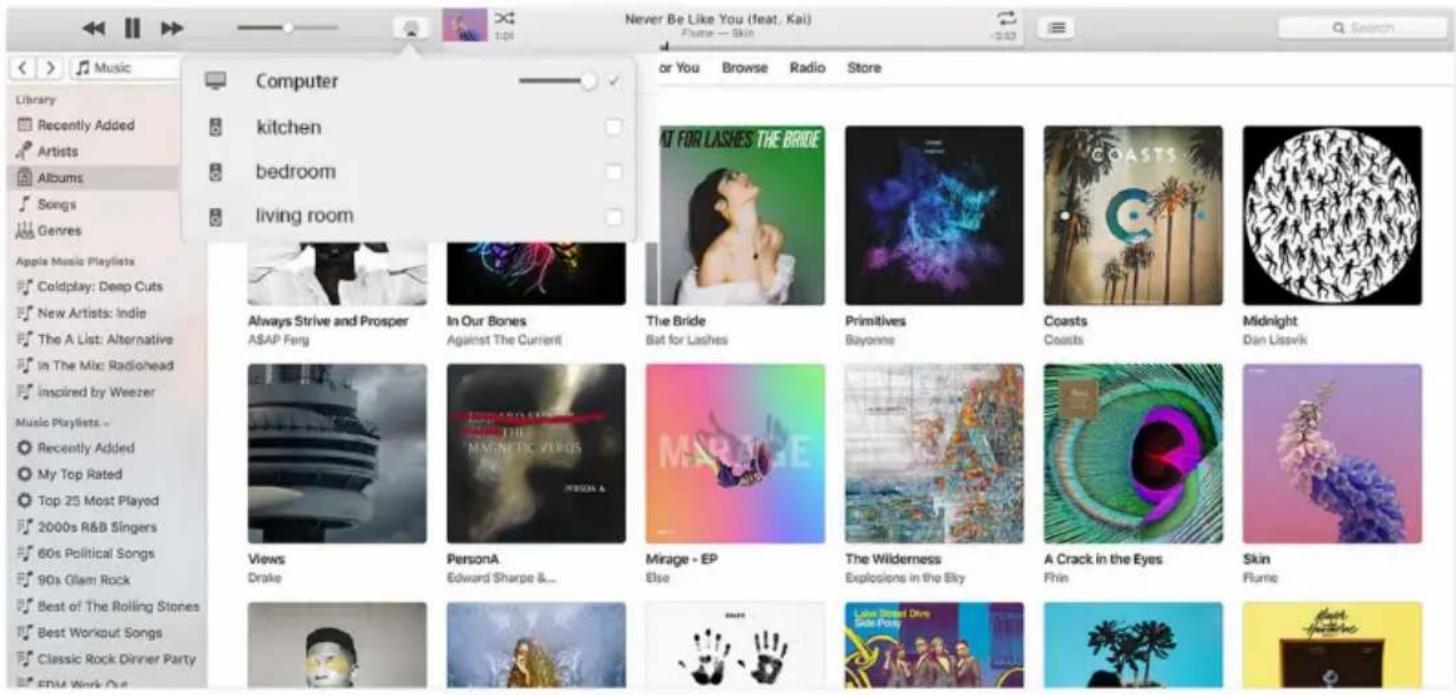 Arylic WIIM MINI - Odtwarzanie muzyki z iTunes na komputerach Mac i PC z systemem Windows - 1