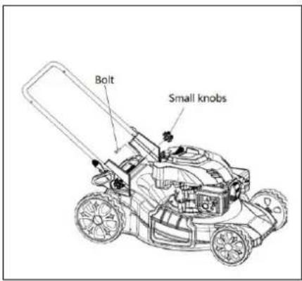 Bolt Small knobs