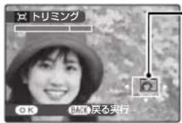 FUJIFILM FinePix Z250fd - 画像の一部を切り抜く(☐ トリミング) - 2
