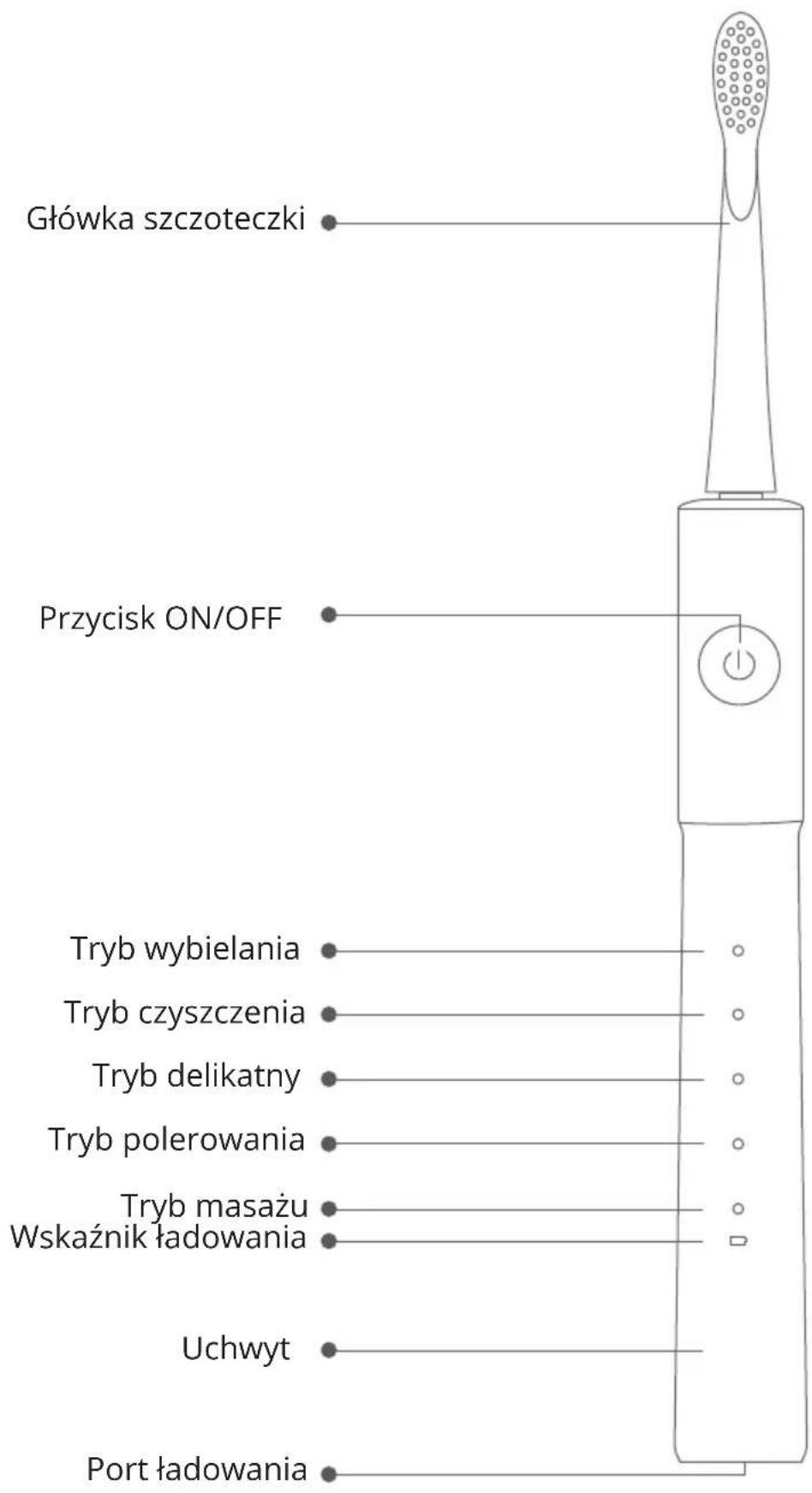 Główka szczoteczki Przycisk ON/OFF Tryb wybielania Tryb czyszczenia Tryb delikatny Tryb polerowania Tryb masażu Wskaźnik ładowania Uchwyt Port ładowania