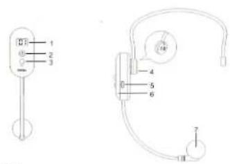 Tonsil MBD 100 - 1