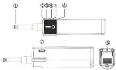 Tonsil MBD 100 - 2