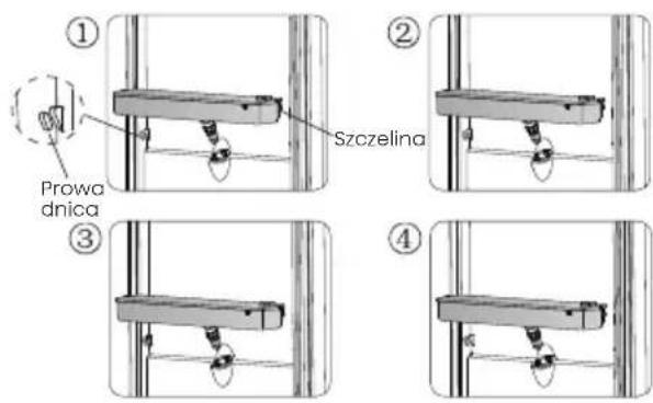 ① Prowa dnica ② Szczelina ③ ④