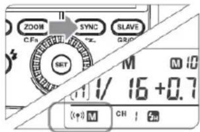 ZOOM C.Fa SYNC °Z SLAVE GRID SET M 16 +0.7 (●) M CH / 2H