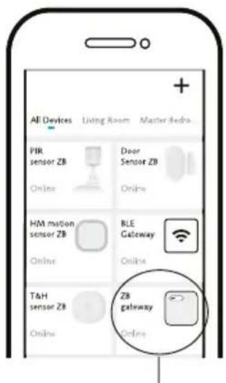 AI Devices Living Room Master Redra PIR sensor ZB Online Door Sensor ZB Online HM motion sensor ZB Online BLE Gateway Online T&H sensor ZB Online ZB gateway Online