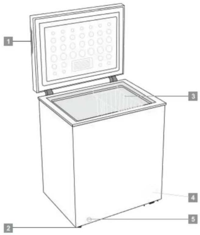 Lin LI-BE1-145 - Opis urządzenia - 1