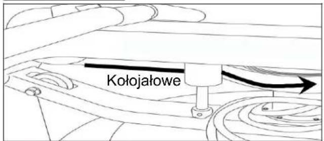 Kołojałowe