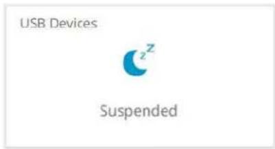 USB Devices z Suspended