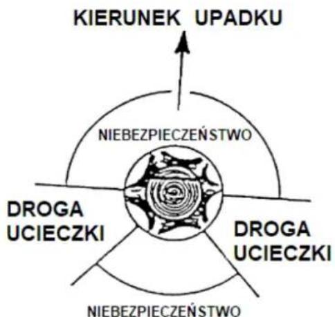 KIERUNEK UPADKU NIEBEZPIECZEŃSTWO DROGA UCIECZKI DROGA UCIECZKI NIEBEZPIECZEŃSTWO