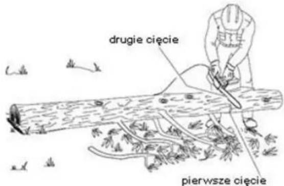 drugie cięcie pierwsze cięcie