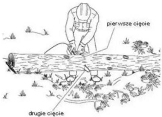 pierwsze cięcie drugie cięcie