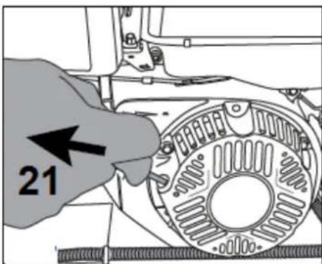 21