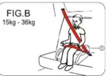 FIG.B 15kg - 36kg