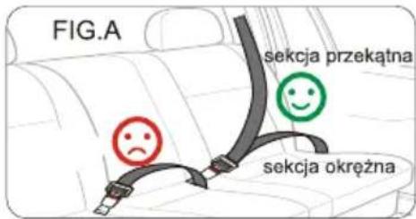 FIG.A sekcja przekątna sekcja okrężna