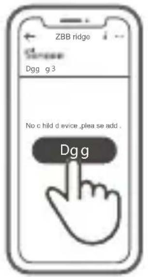ZBB ridge Dgg g 3 No c hild d evice ,plea se add . Dgg